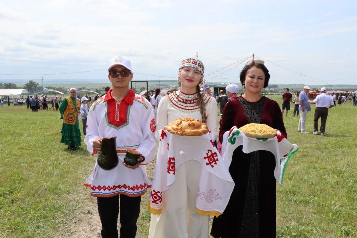 В Нижнем Чекурске Дрожжановского района РТ отметили День родного края