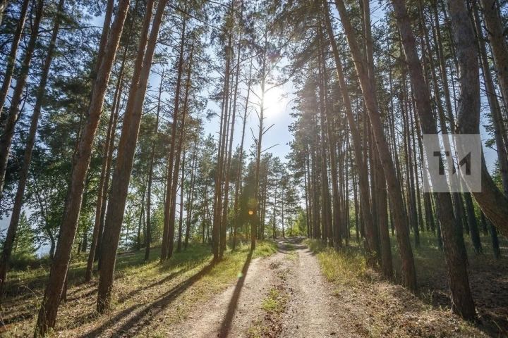 Петров день 2025: древний праздник, который до сих пор хранит секреты счастливой жизни