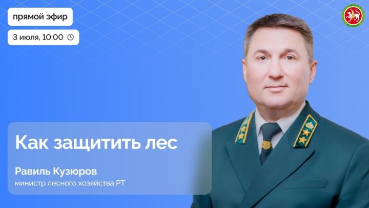 Равиль Кузюров расскажет о защите лесов Татарстана в прямом эфире