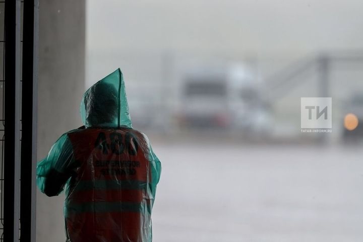Погода в Дрожжановском районе