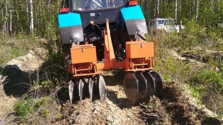 В Татарстане агротехнический уход за лесами выполнен на 75%