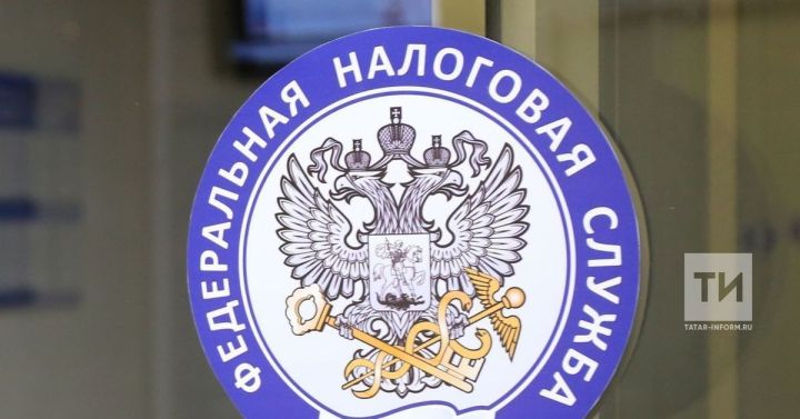 В Татарстане стартует декларационная кампания: кому и когда нужно отчитаться о доходах за 2025 год