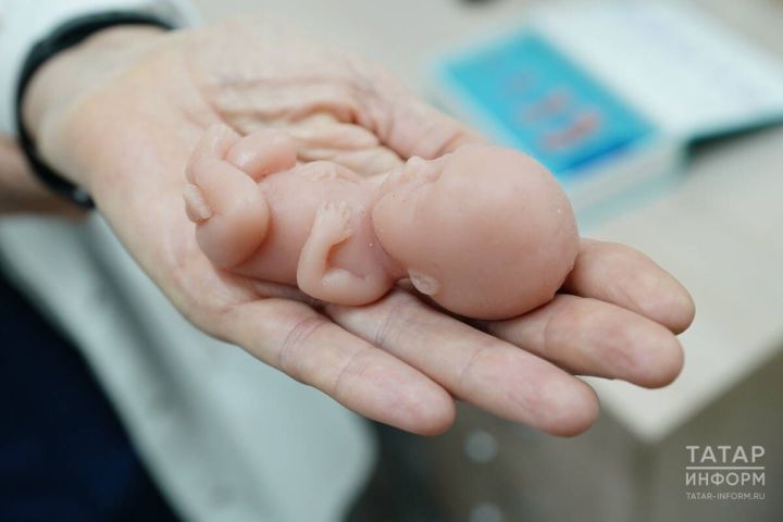 С 2 по 8 марта в России проходит Неделя ответственного отношения к беременности