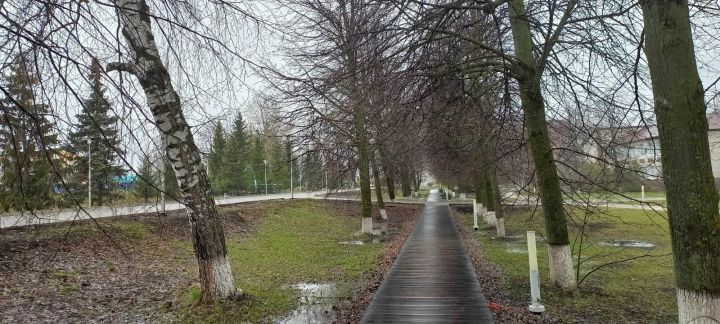Сасӑлав пуҫланчӗ