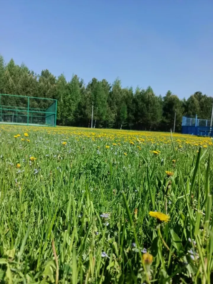 Погода в Дрожжановском районе на 7 июня
