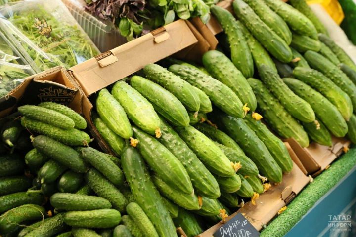 Диетолог назвал огурцы идеальным перекусом для здоровья и фигуры