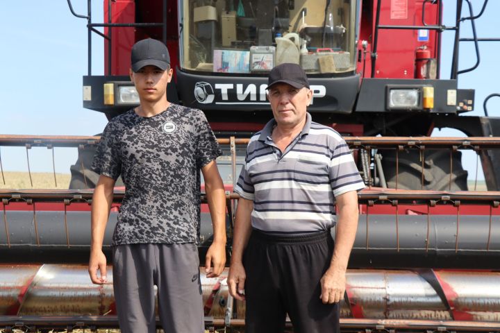 Чүпрәледә урып-җыю эшләре башланды