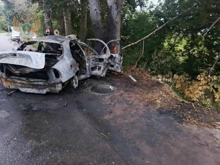 В Зеленодольском районе  автомобиль с подростками влетел в дерево: шесть человек погибли