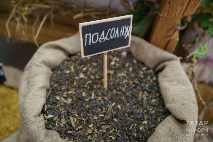 Врач объяснил, чем опасно регулярное проглатывание шелухи от семечек