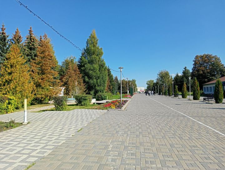 Порывистый ветер до 20 м/с ожидается в Дрожжановском районе