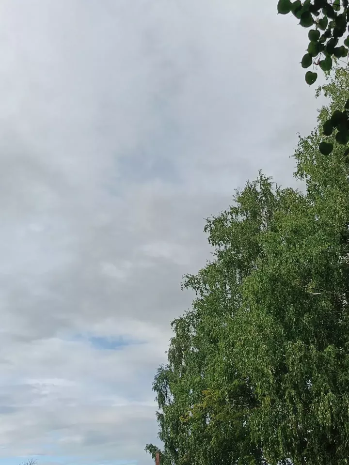 В Дрожжановском районе ожидаются дождь, гроза и ветер
