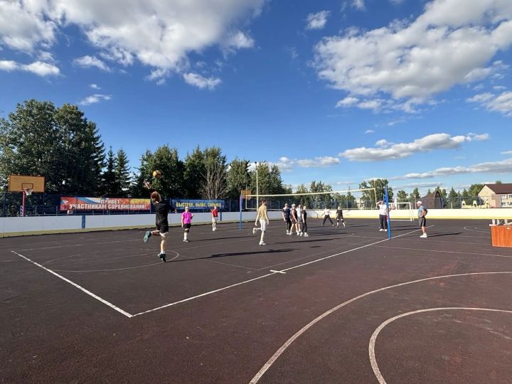Настольный теннис и волейбол объединили любителей спорта в «Неделю физкультурника»