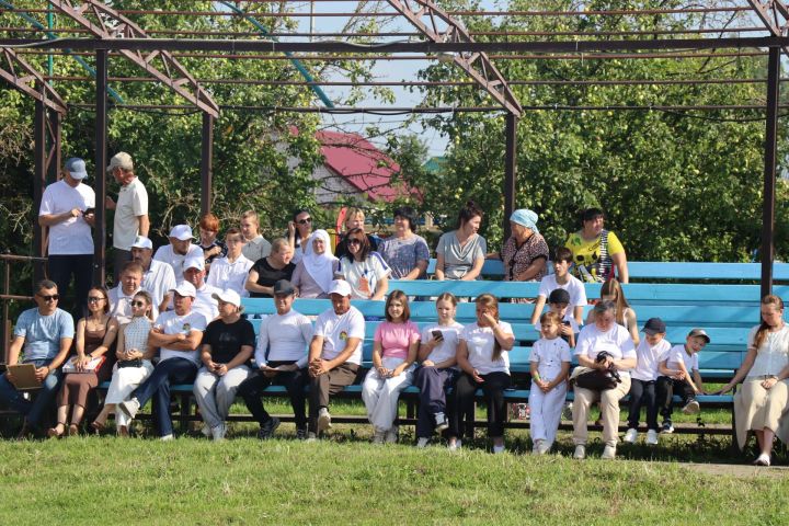 День физкультурника отметили в Дрожжановском районе