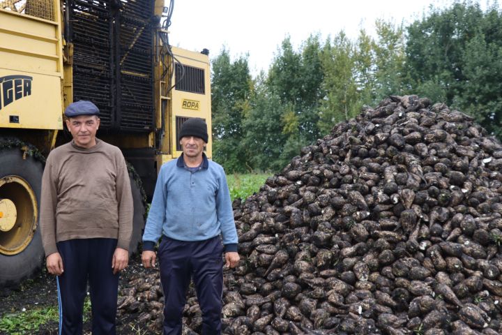 Чӗкӗнтӗр хирӗсенче – хӗрӳ ӗç