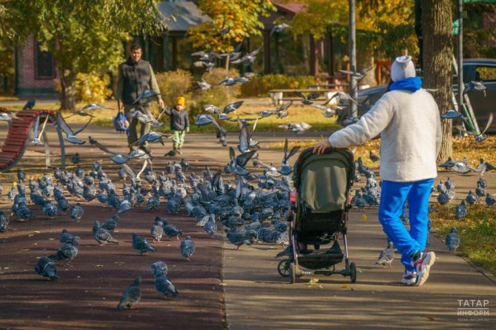 Семьи с детьми в Татарстане могут получать ежемесячную выплату из маткапитала